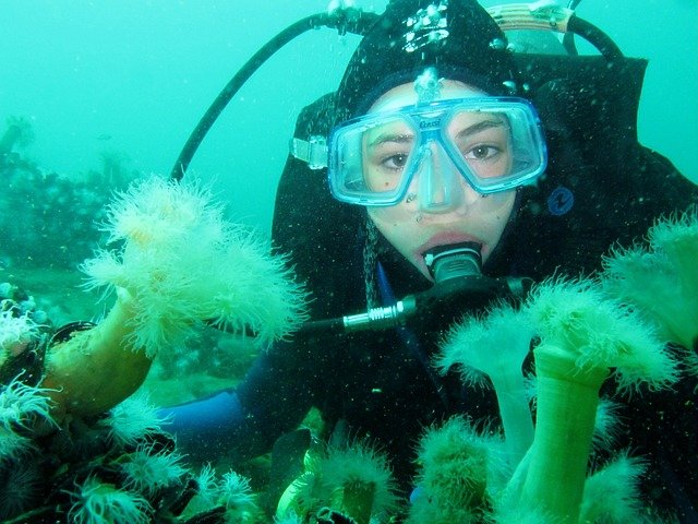 diving-975510_640.jpg