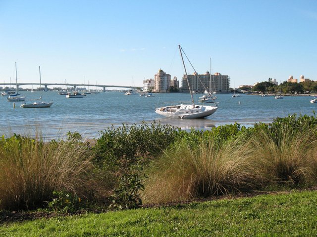 20100120 Grounded sailboat off of Marie Selby Gardens 187.jpg