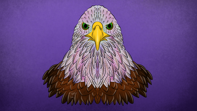 eagle vector.png