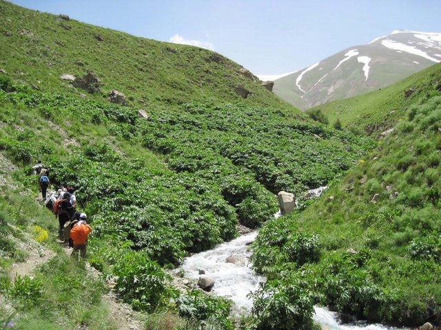 روستای-آهار.jpg