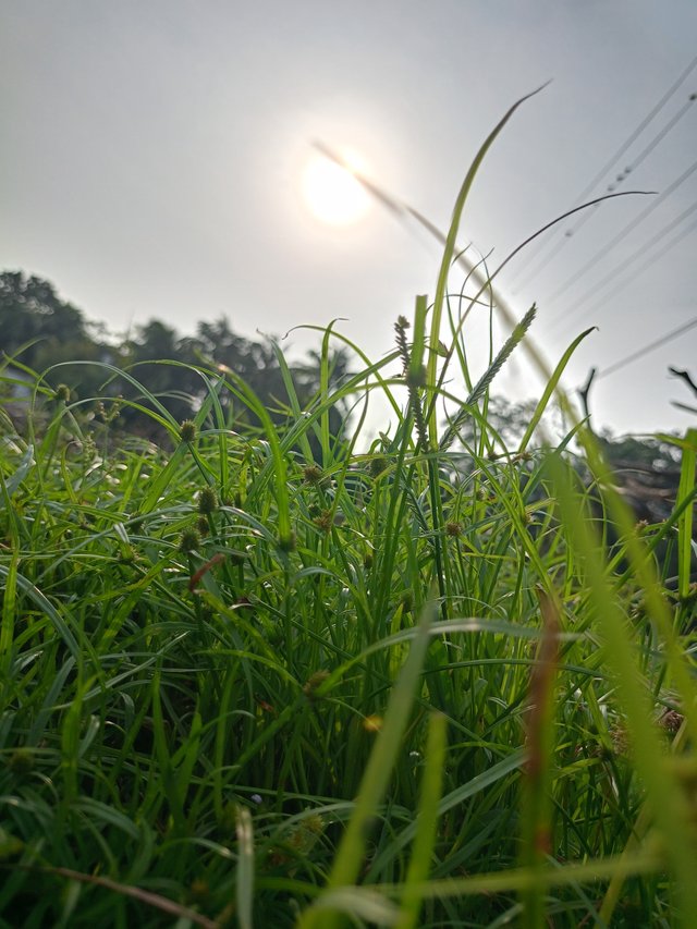 IMG20240916073151.jpg