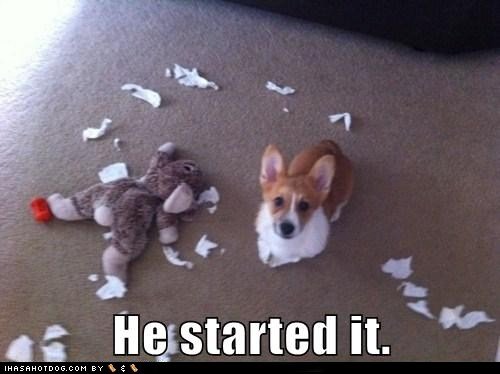 funny-dog-pictures-he-started-it.jpg