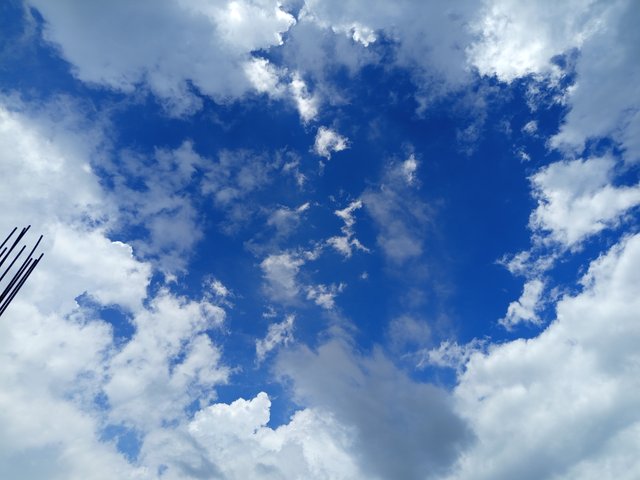 1000010825.jpg