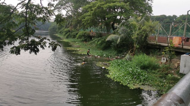 IMG_20240608_162208.jpg