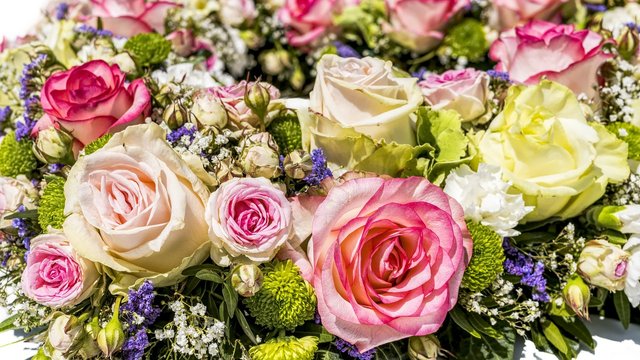 roses-3441662_1280.jpg