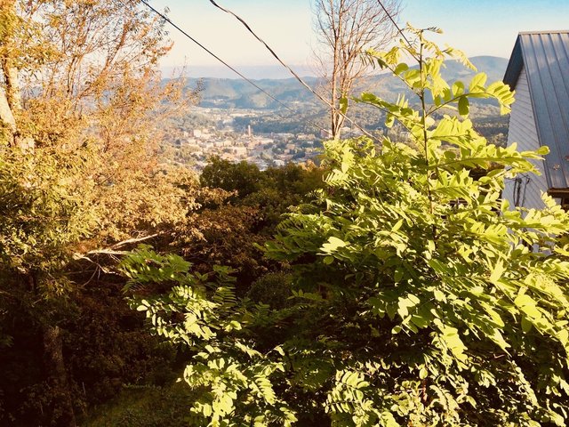 top of hill landscape sept 6 2018.jpg