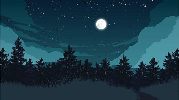 forest-landscape-illustration-vector-id587224596-1.jpg