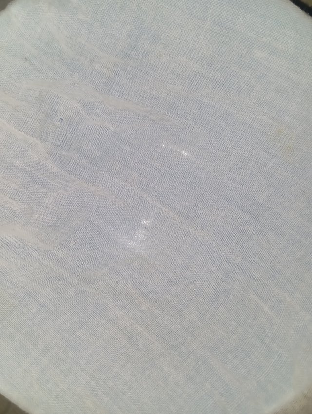 1000112963.jpg