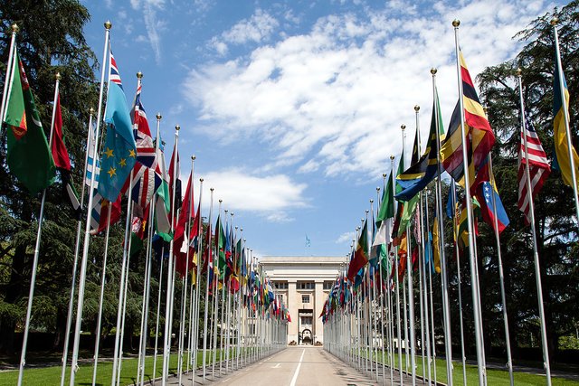 1200px-United_Nations_Flags_-_cropped.jpg
