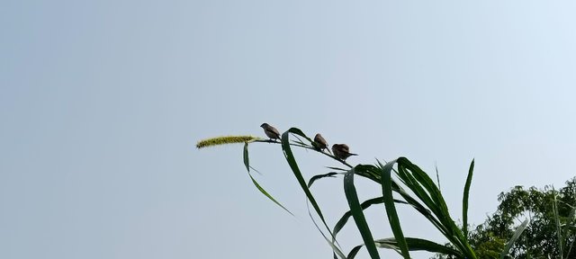 1727620489829.jpg
