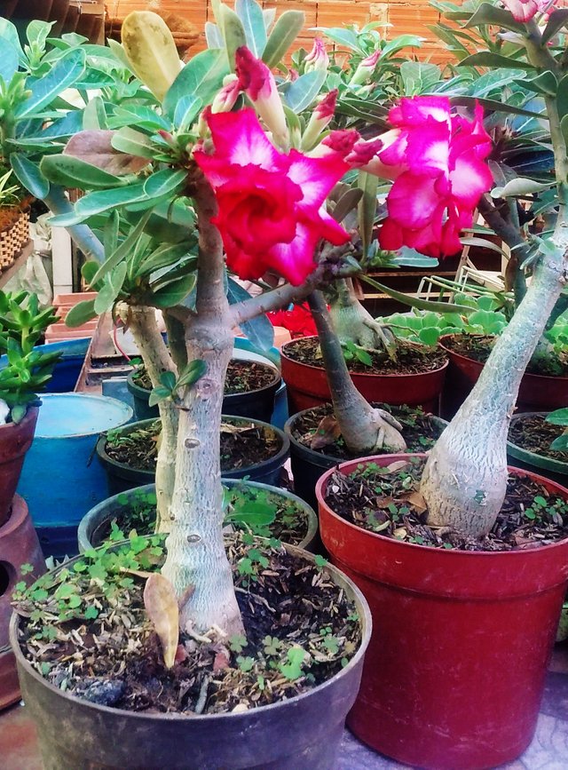 20181210_102425.jpg