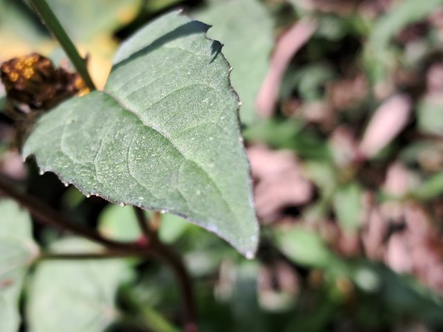 20231218_101646.jpg
