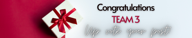 Guidelines TEAM 1 (9).png