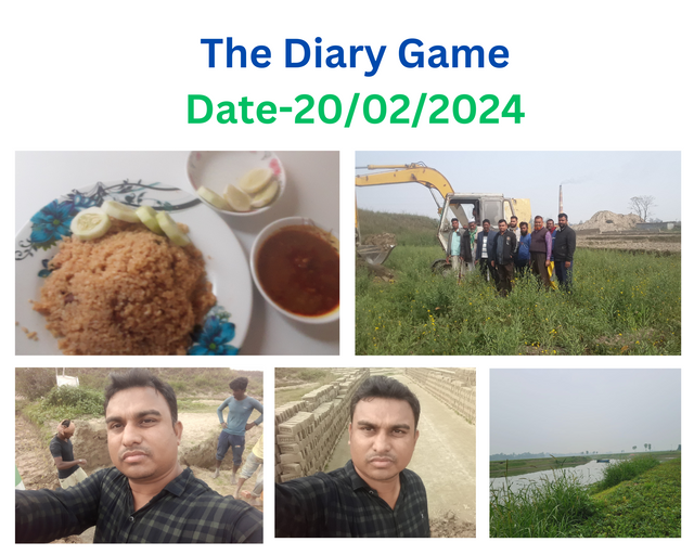 the diary game.png