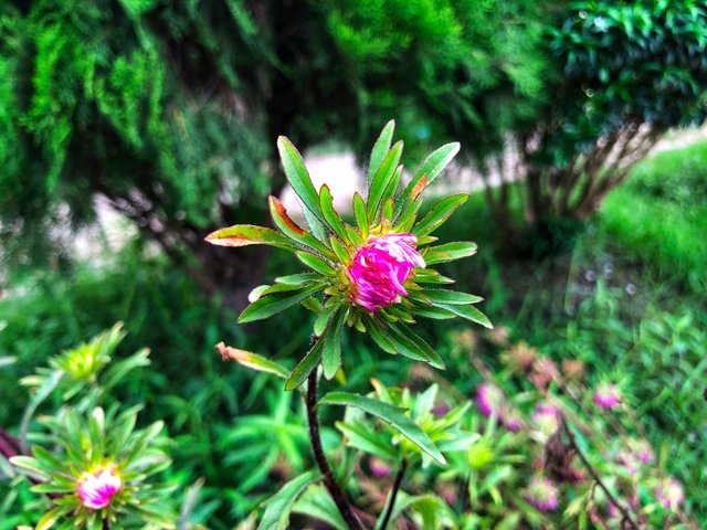 IMG_1748-01.jpeg