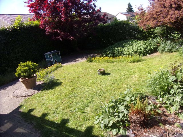 100_2658.JPG