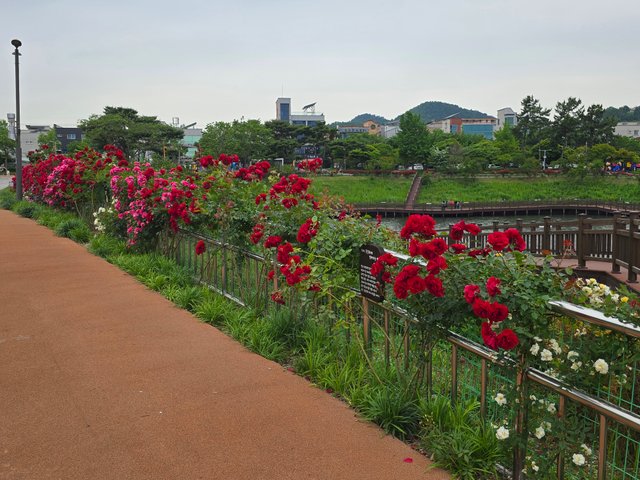 1000015169.jpg