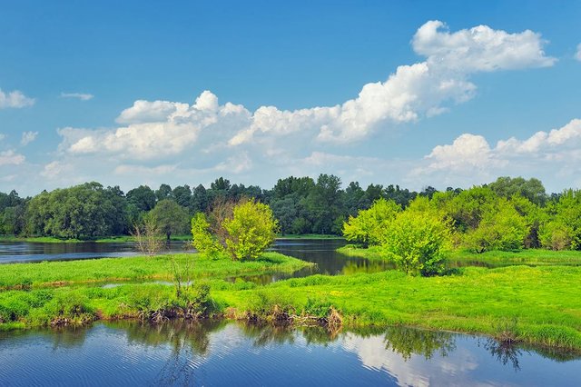 z10017113IH,dolina-narwi--narew--polska.jpg