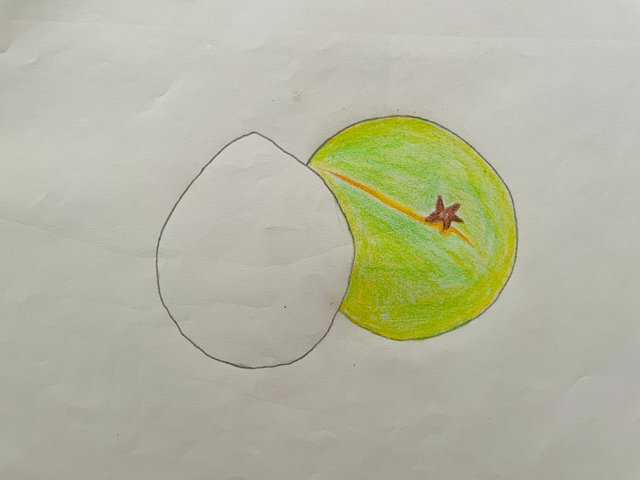 IMG_0394.jpeg