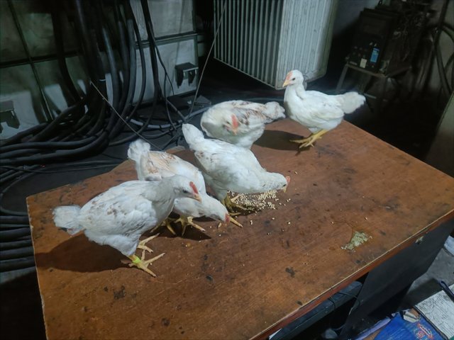 IMG20250601172316.jpg