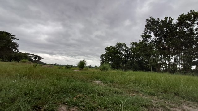 20240526_175604.jpg