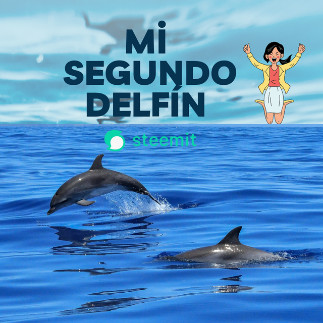 Blue Modern World Dolphin Day Instagram Post_20250713_193941_0000.png