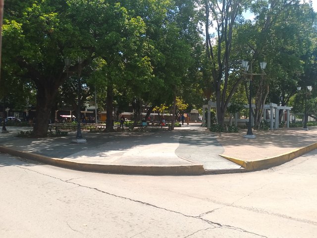 1000048045.jpg