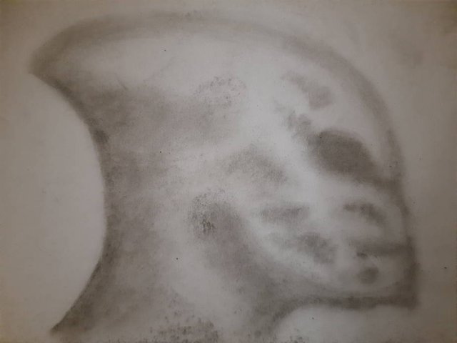 20250914_092648.jpg