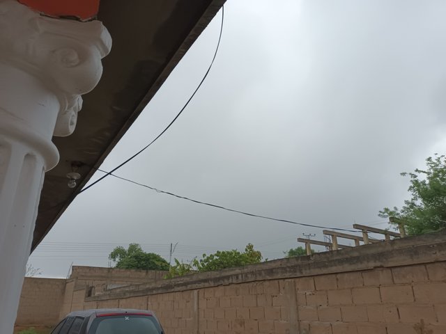 20250508_114636.jpg