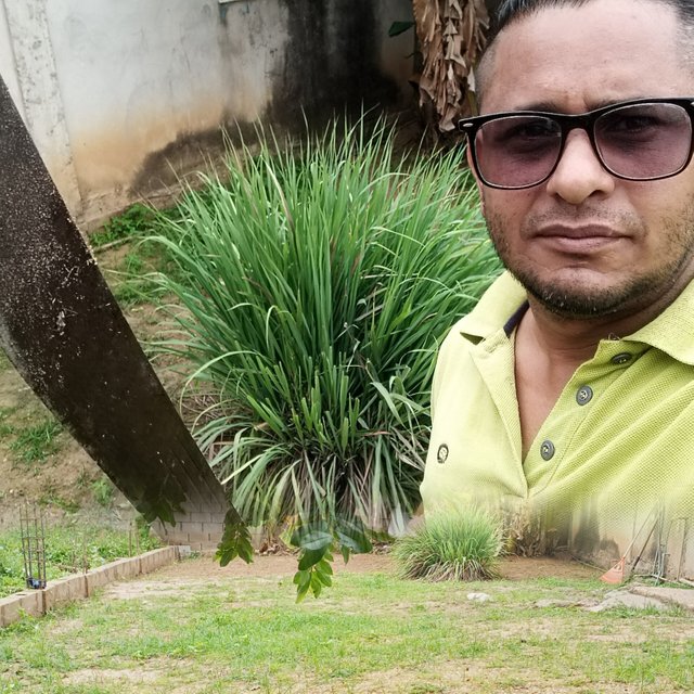 InShot_20250613_202041386.jpg