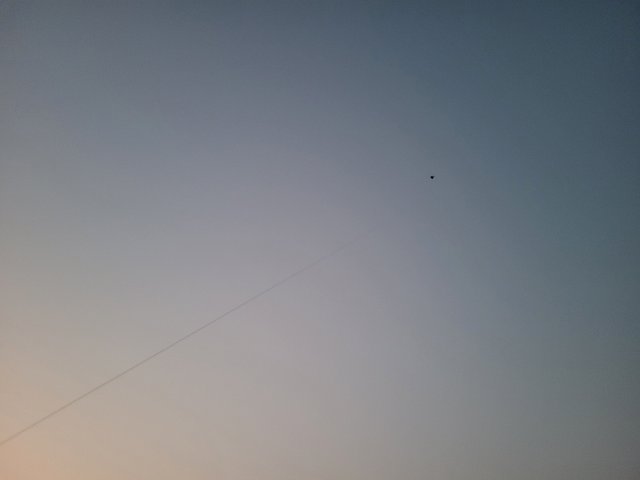 20250426_184945.jpg