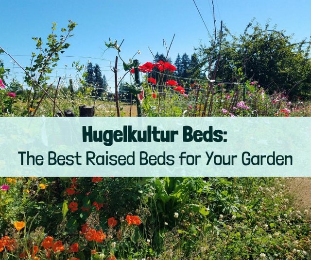 hugelkultur-bed-featured.jpg