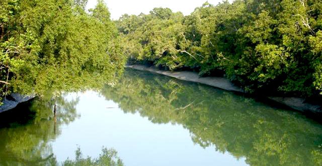 Hiron-Point-Sundarban.jpg