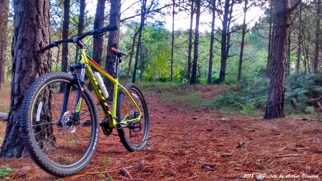 bike