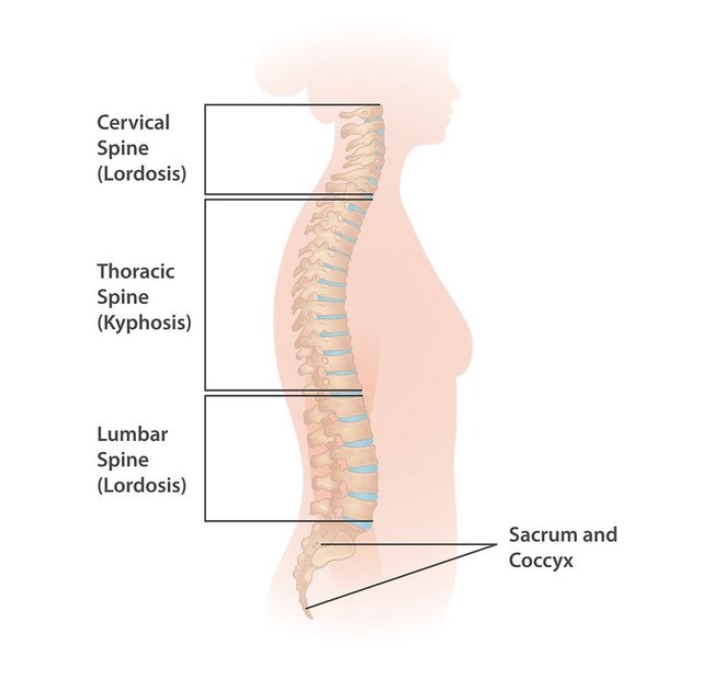 lordosis.jpg