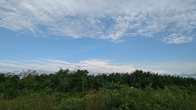 PANO_20210811_172405.jpg