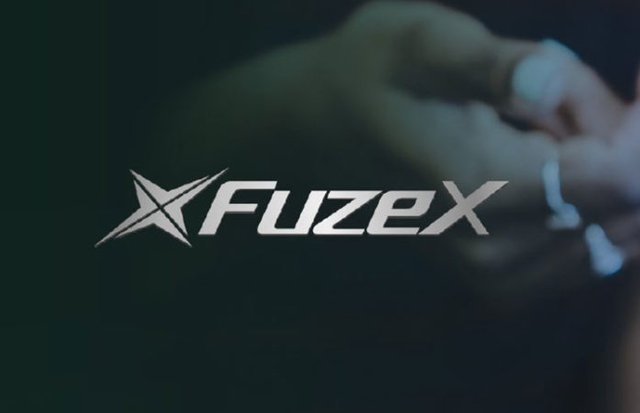 fuzex-696x449.jpg