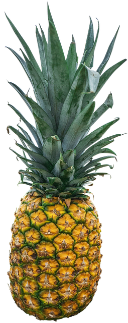 pineapple-1916996_640.png