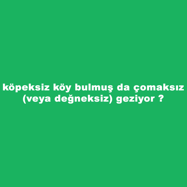 kopeksiz-koy-bulmus-da-comaksiz-veya-degneksiz-geziyor.png