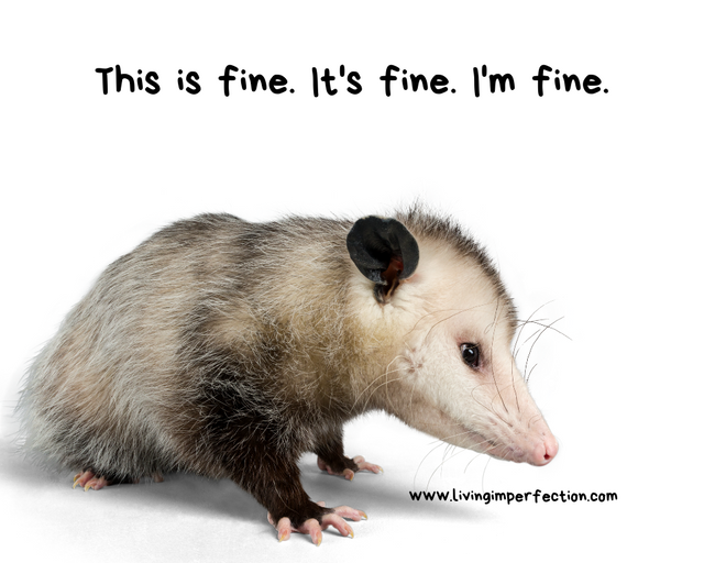 this is fine possum.png