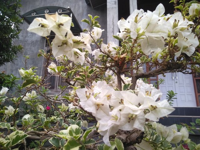 IMG20210405175851.jpg