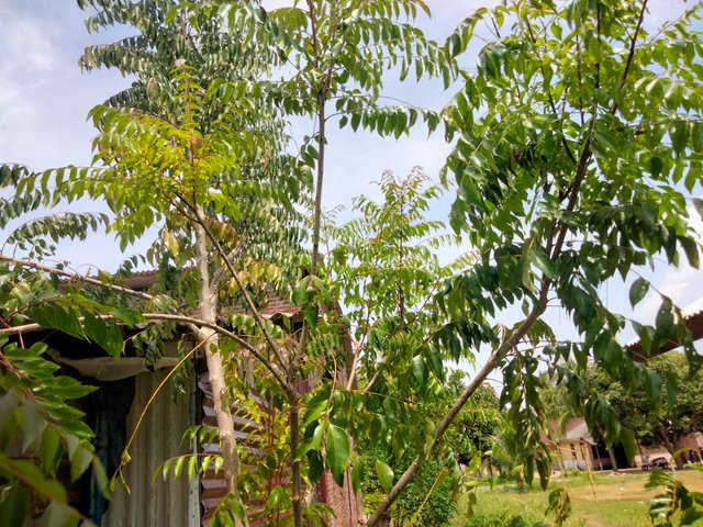 IMG20250712131809.jpg