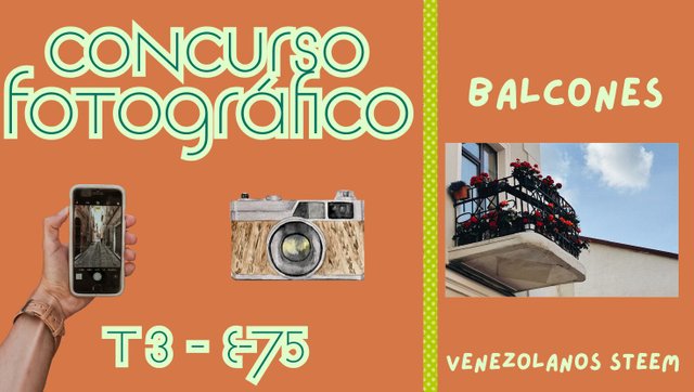 Concurso fotográfico (56).jpg