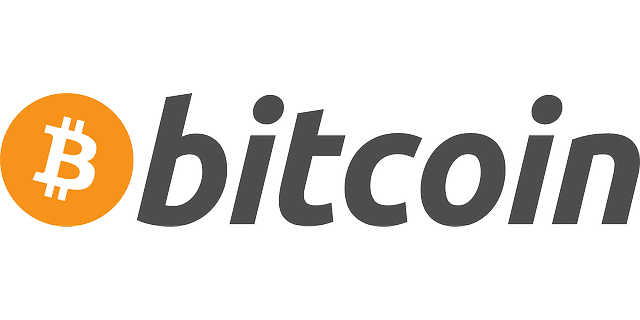 bitcoin-225080_640 (1).png