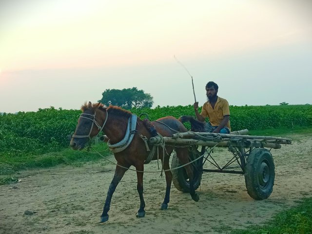 IMG_20250618_063008.jpg