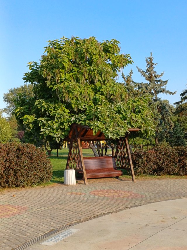 20250808_071226.jpg