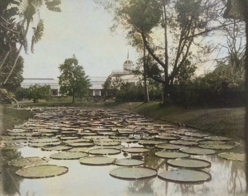 Istana Bogor, 1880. Stoop. Colorized..jpg