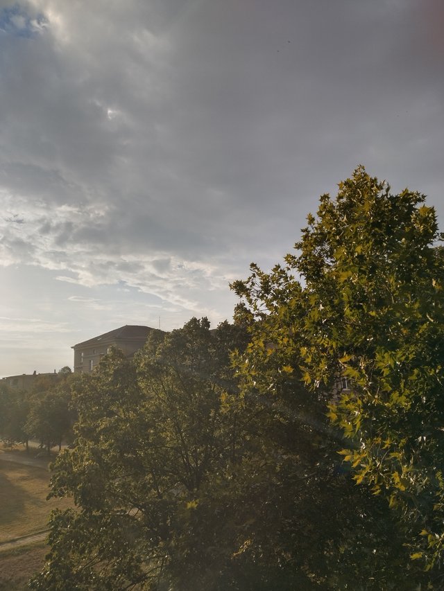 IMG_20250831_075708_HDR.jpg