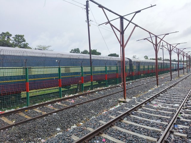 1000156105.jpg