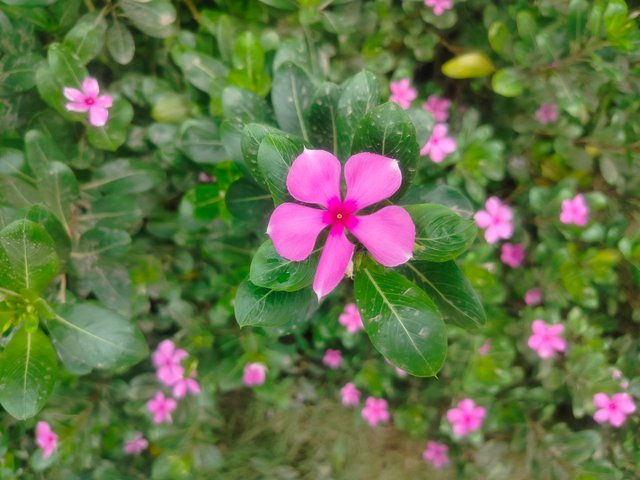 IMG20250725102755.jpg
